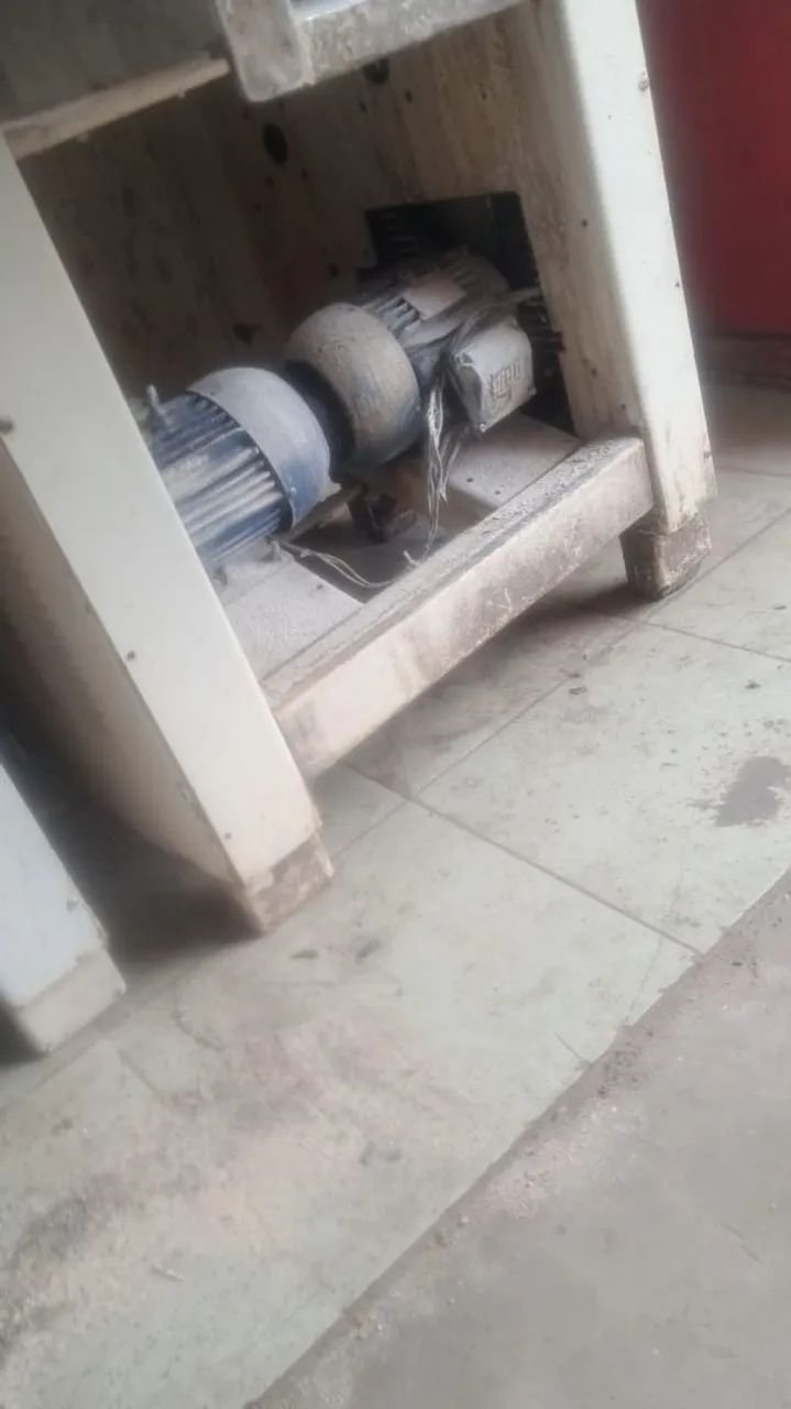 CILINDRO G.PANIZ MOD.600 COM 2 MOTORES  - Foto 4