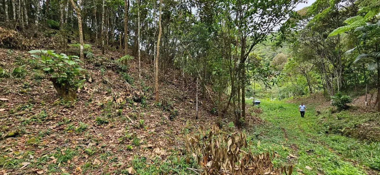 Chácara em São Pedro de Alcântara - SC - Foto 3