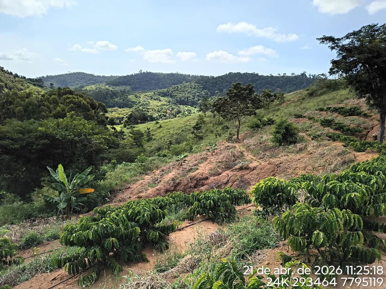 3 alq em Laranja da Terra  - Foto 5