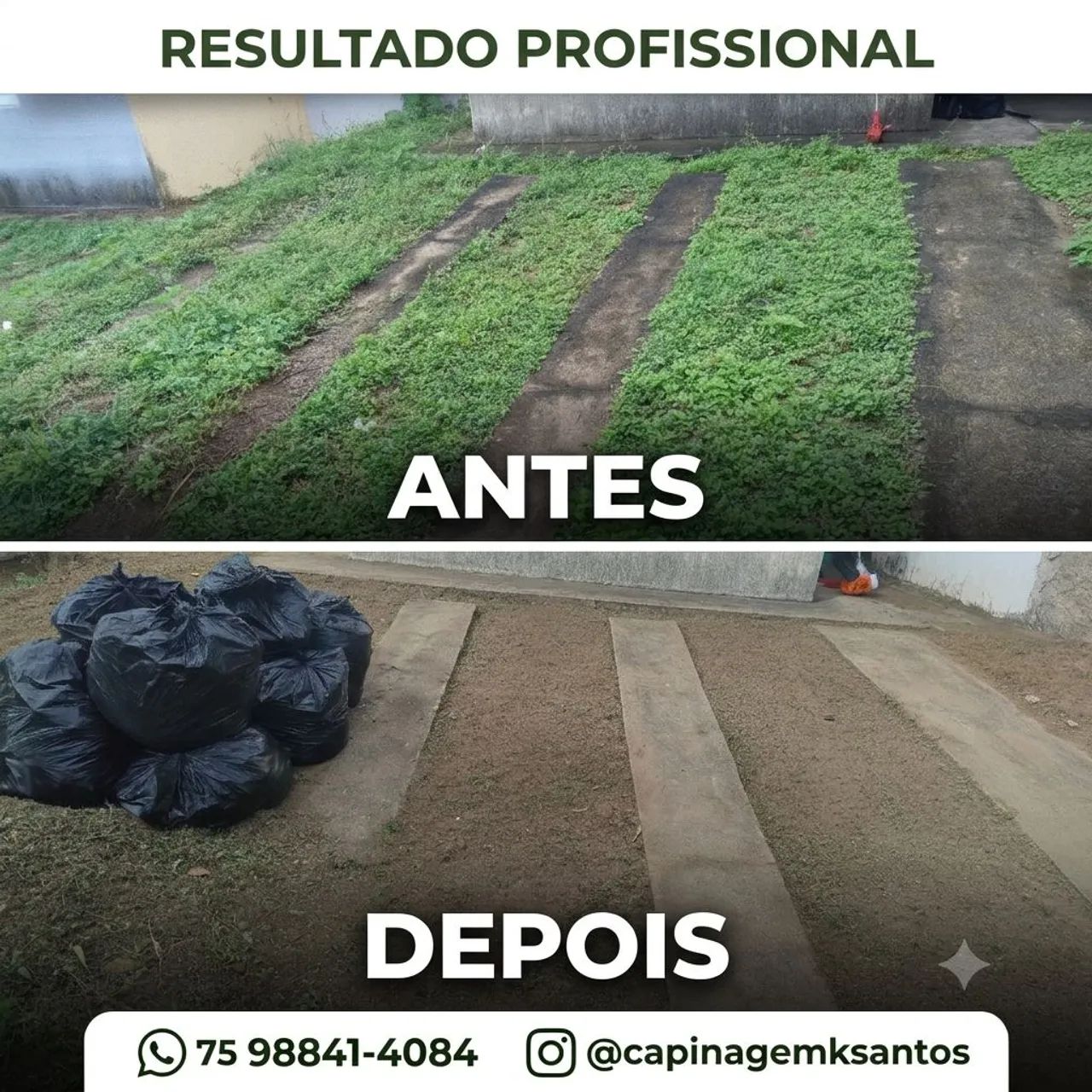Capinagem em Feira de Santana 