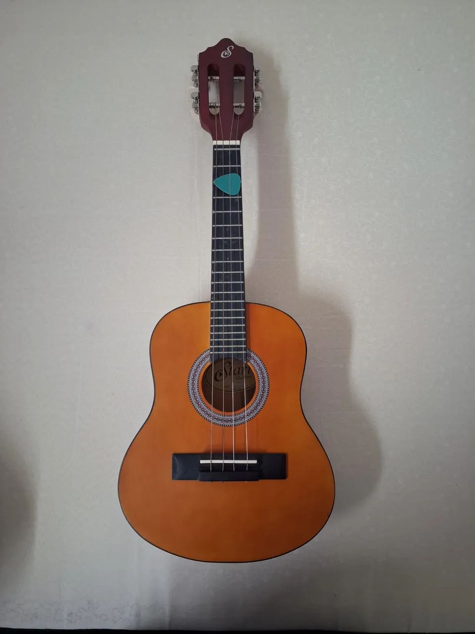 Cavaquinho Giannini 