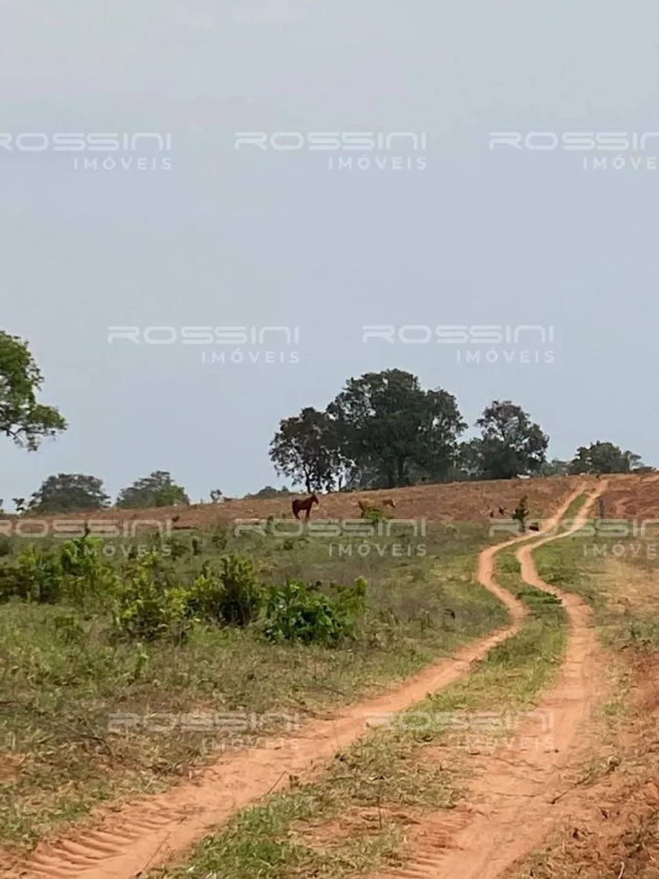 Fazenda, Coxim - MS - Foto 3