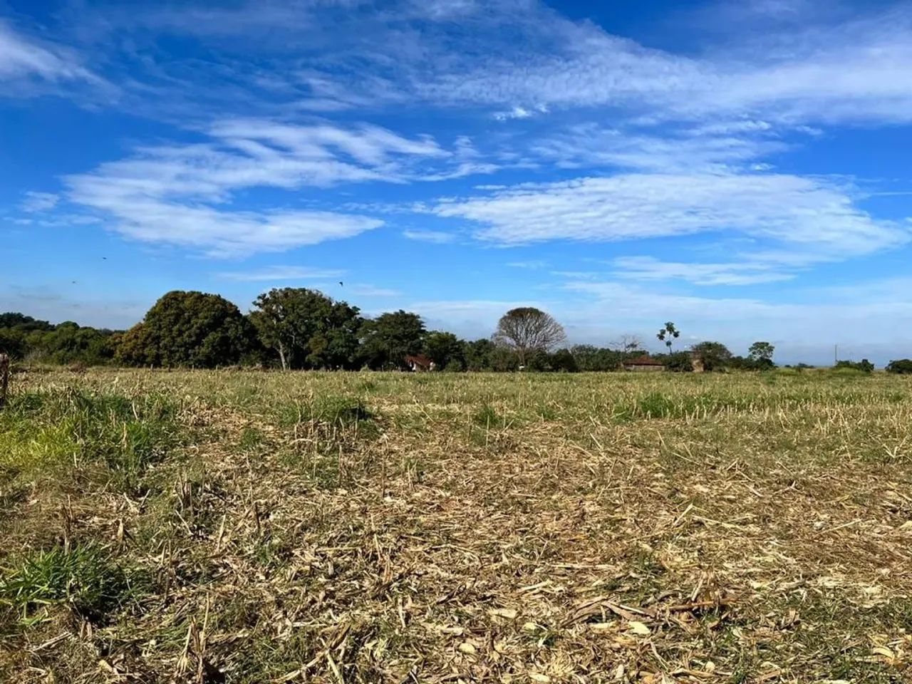 Sitio localização TOP - Foto 3