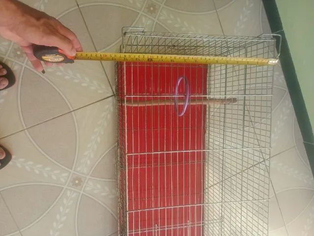 Gaiola criadeira  - Foto 2