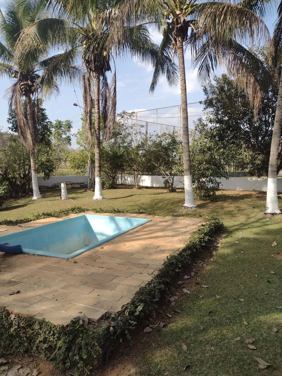 Vendo sítio na localidade da Fazendinha em Visconde do Rio Branco  - Foto 5