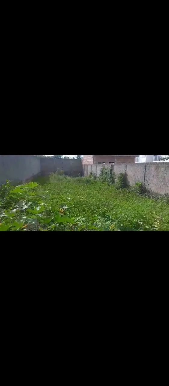Terreno Barra de São Miguel-AL (Barra Mar)  - Foto 4