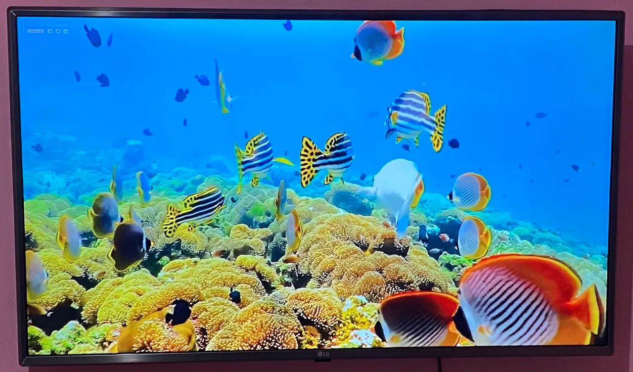 Tv smart de 43 polegadas LG 