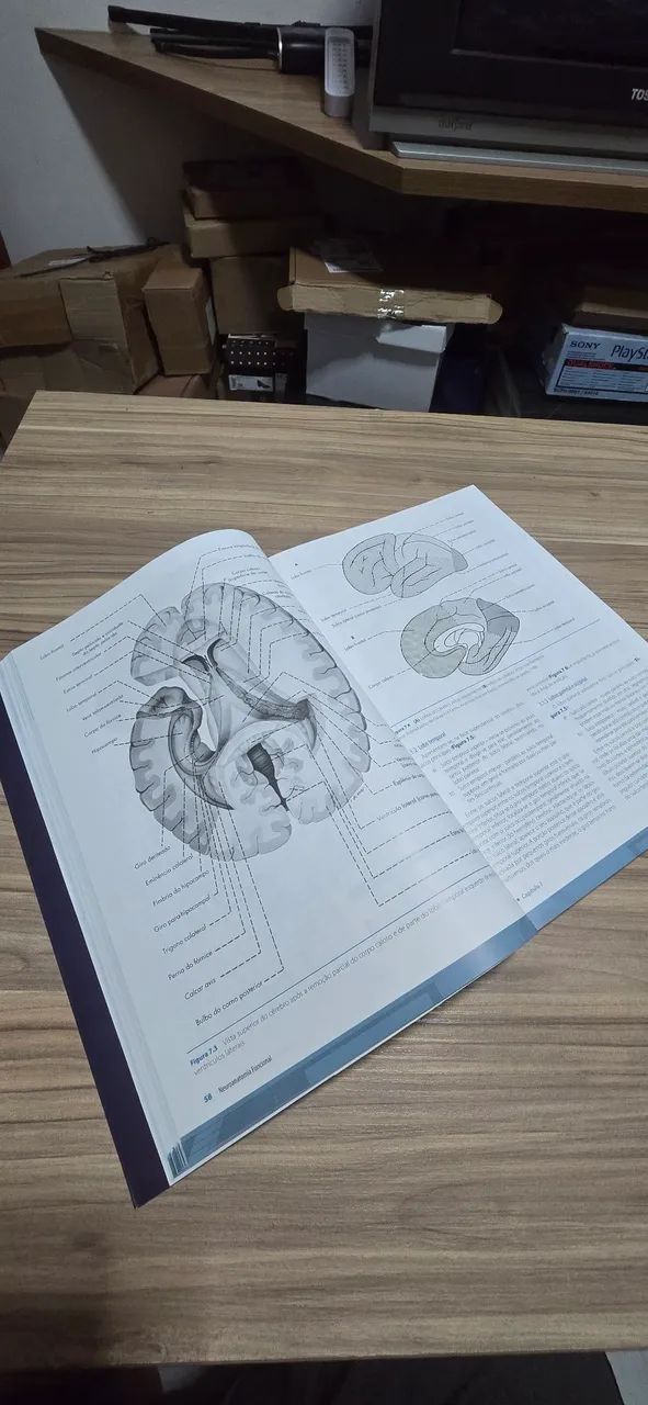 Livro Neuroanatomia funcional - Foto 3