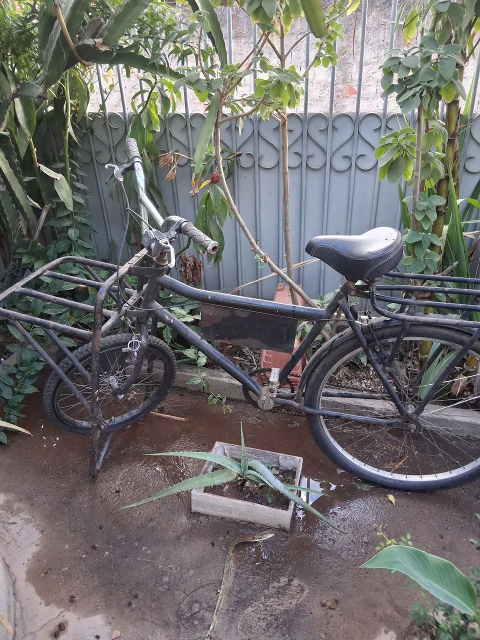 Bicicleta cargueira 