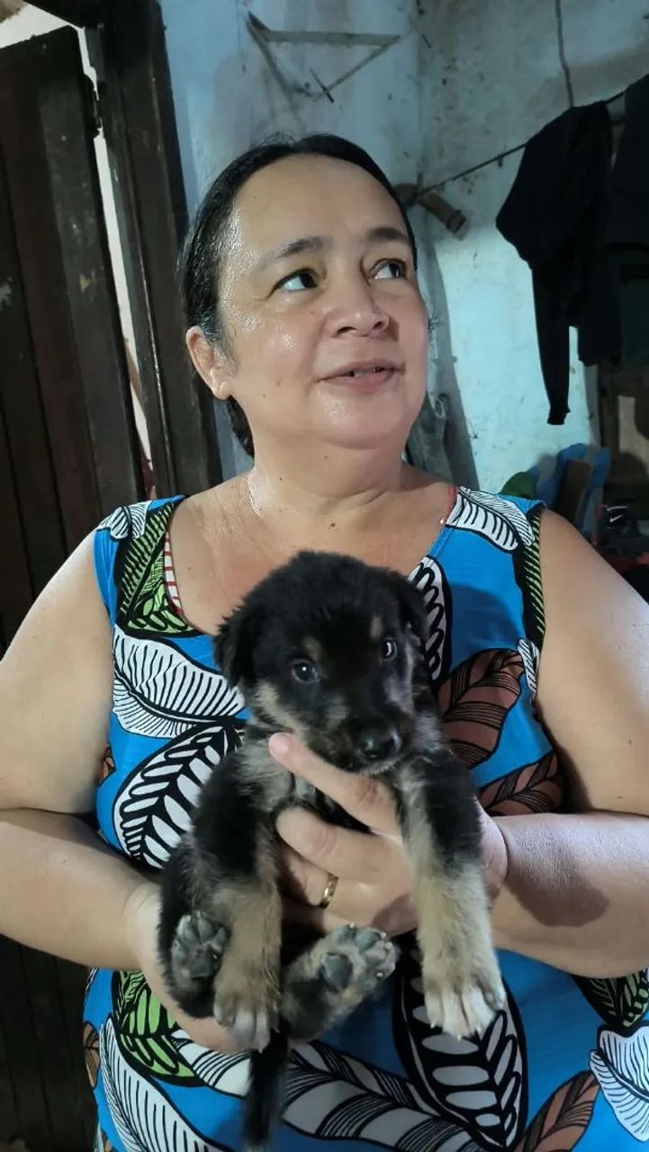Cachorro  - Foto 2