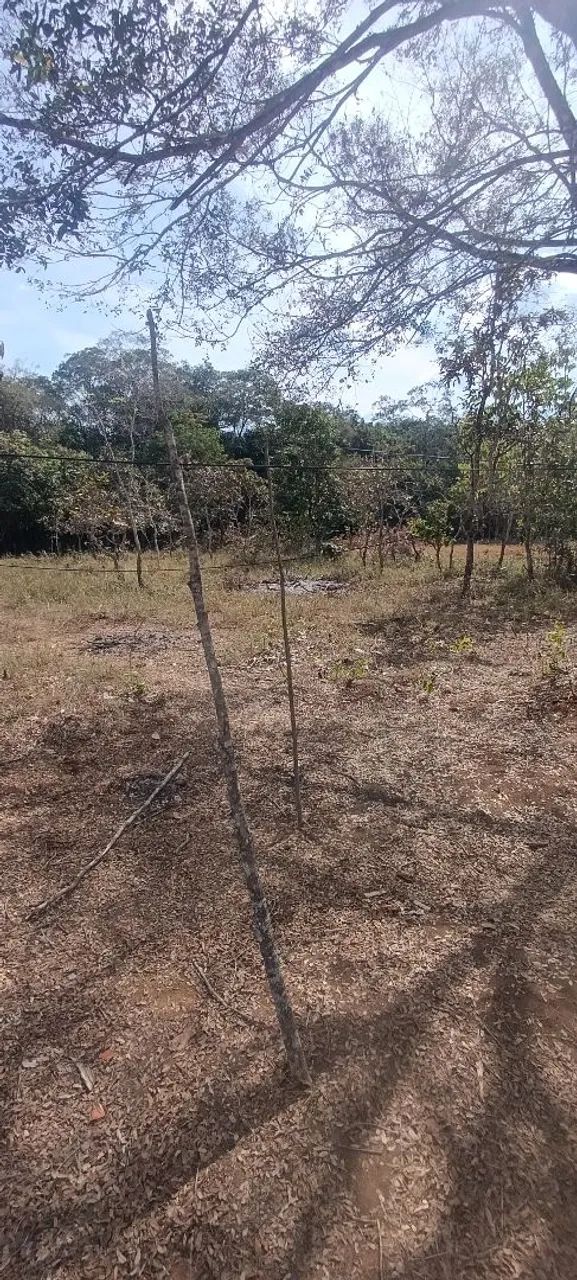 CHACARA COM AGUA 30 KM DE ANAPOLIS - Foto 3