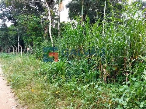 Terreno à venda na Praia de Boracéia em São Sebastião - SP - Foto 2