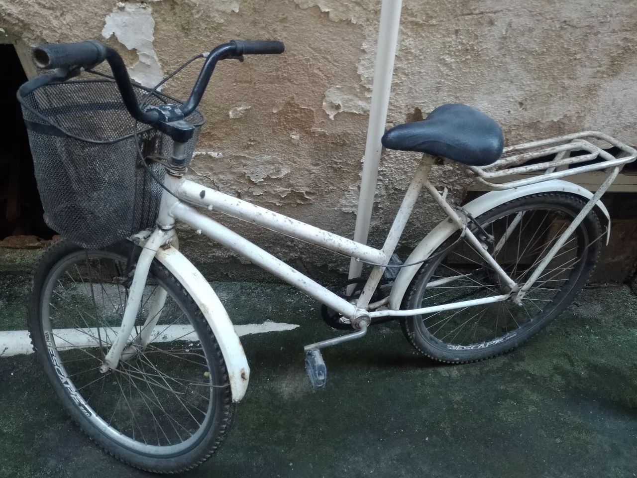bicicleta barco 