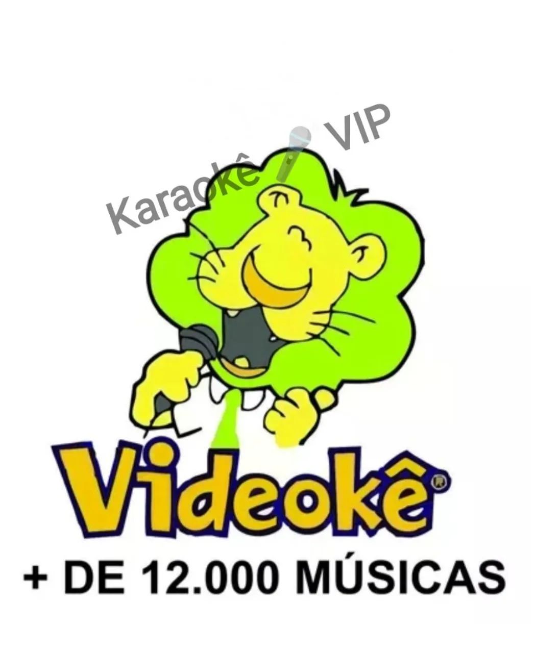 Karaokê Videokê com TV ou Telão 