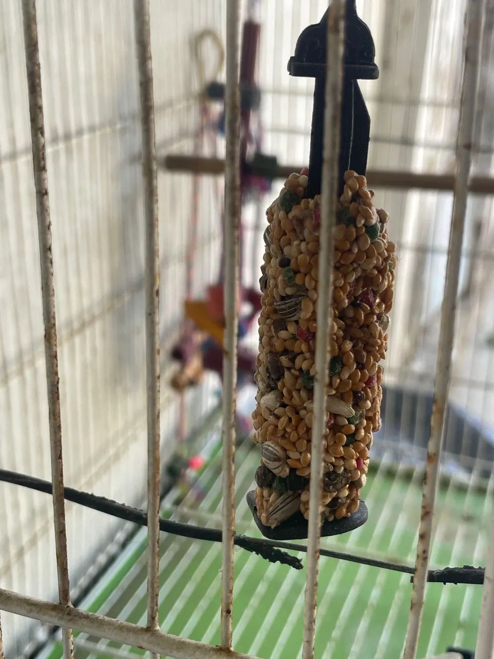 Gaiola  - Foto 6