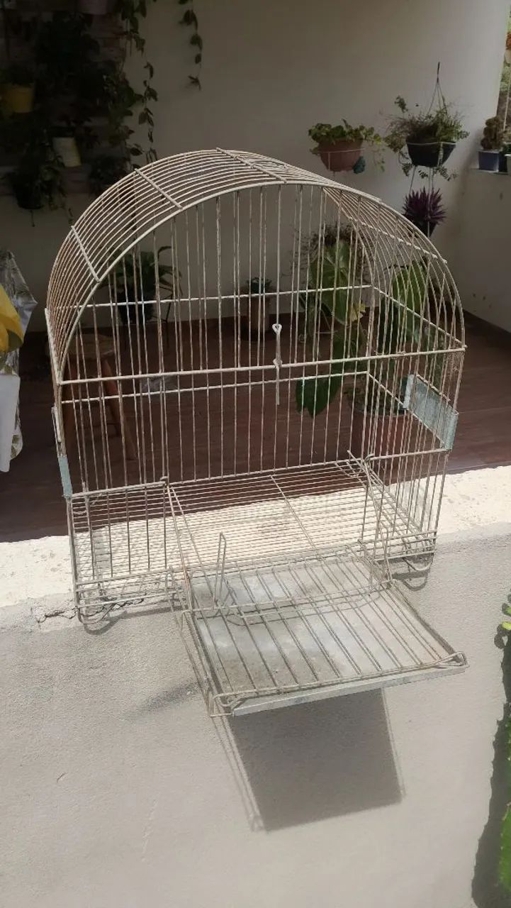 Gaiola 