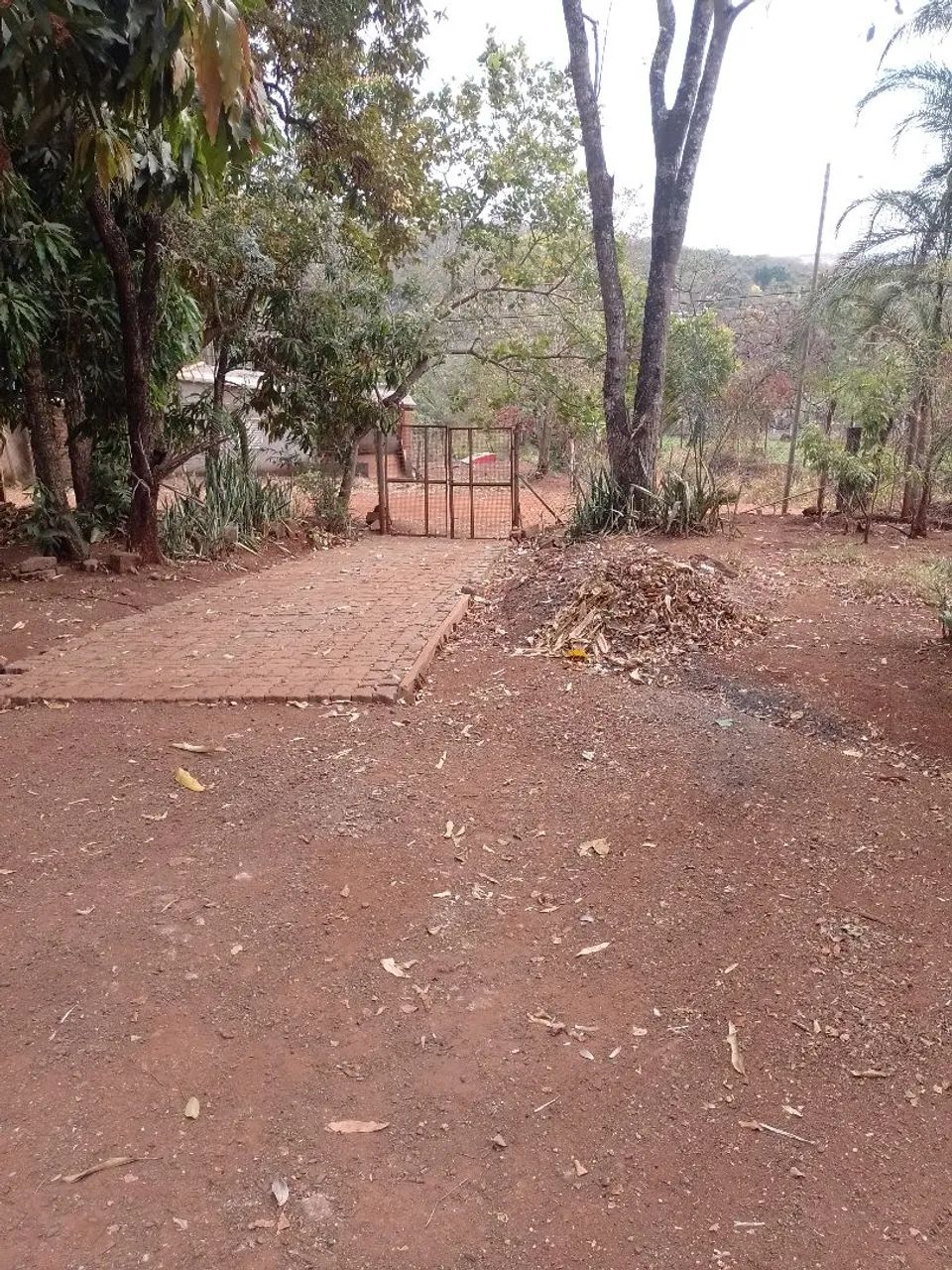 Chácara no Miranda 07 - Foto 3
