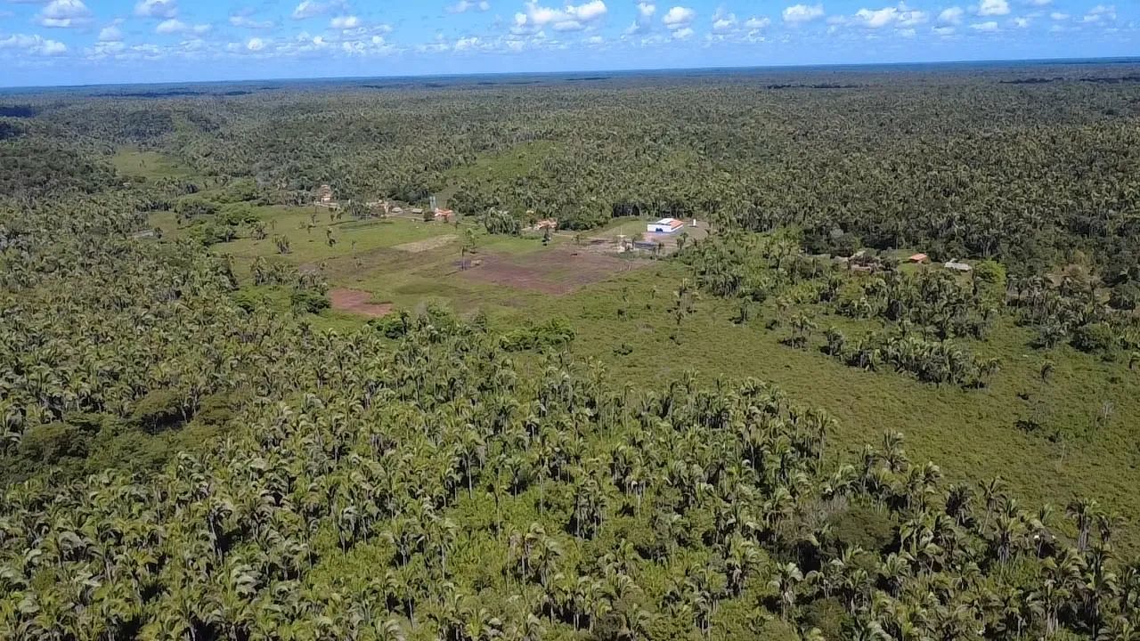 Fazenda 830 hectares  - Foto 3