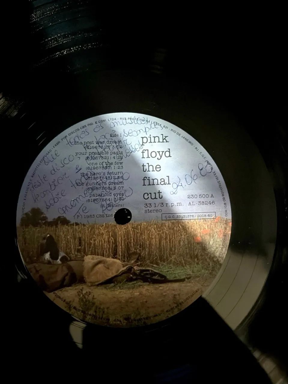 Disco de Vinil  - Foto 4