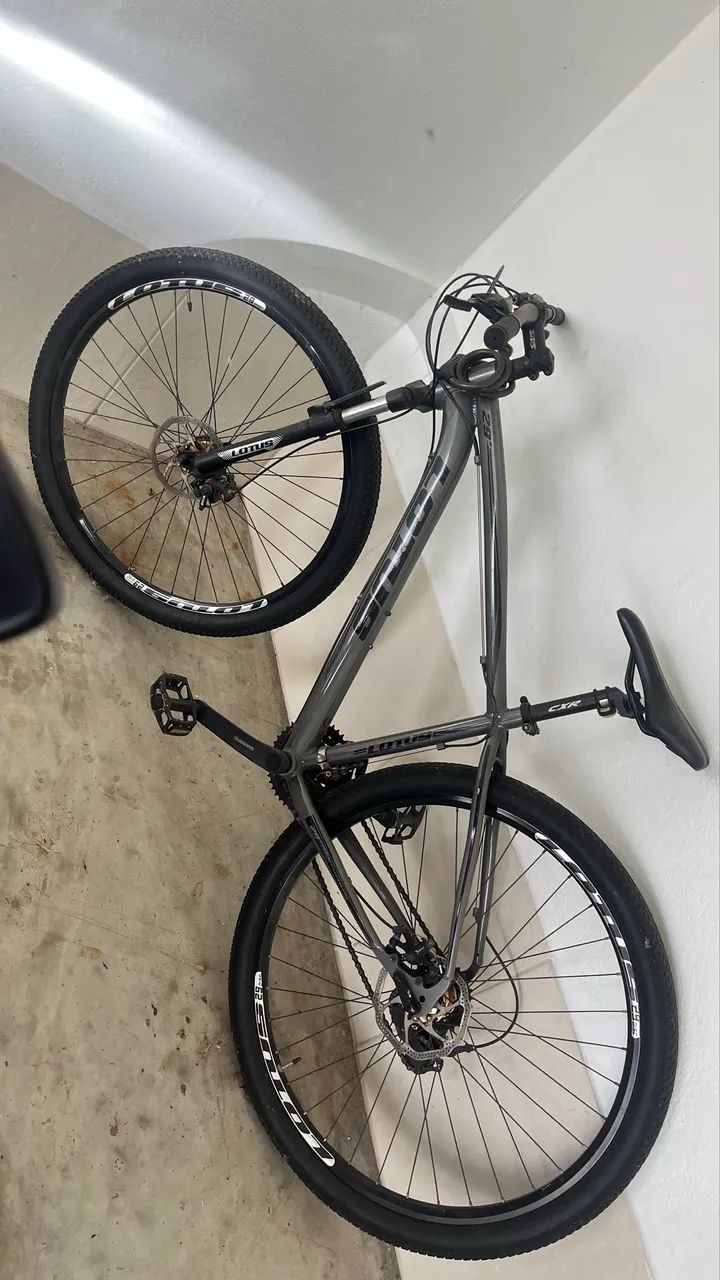 Bicicleta Lótus