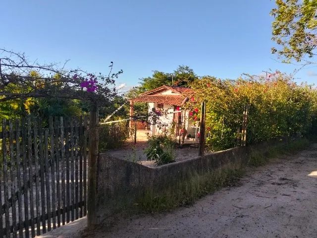 Sítio com 2.5 hectares pronto para morar. - Foto 2