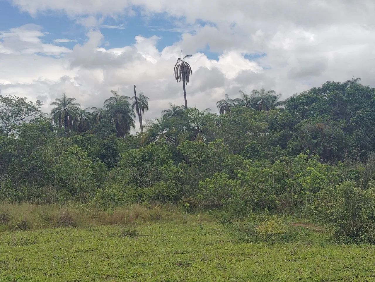 Lote 2000 MTS 5,000 São José de Almeida  - Foto 12