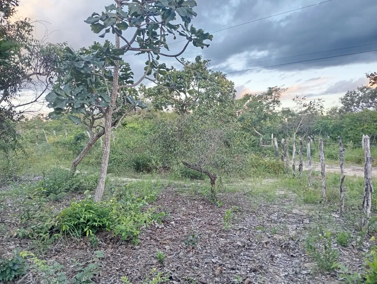 Vendo casa com terreno, de fundo para o rio!! - Foto 4