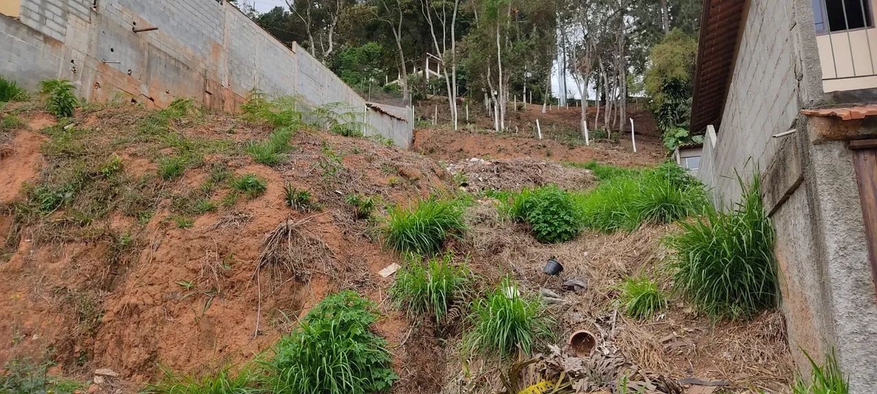 Excelente Terreno nas Braunes - Foto 3