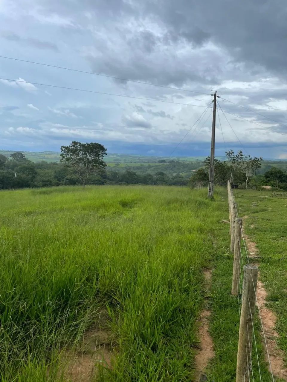 3 alq. Silvânia terra formada só R$ 850 mil - Foto 5