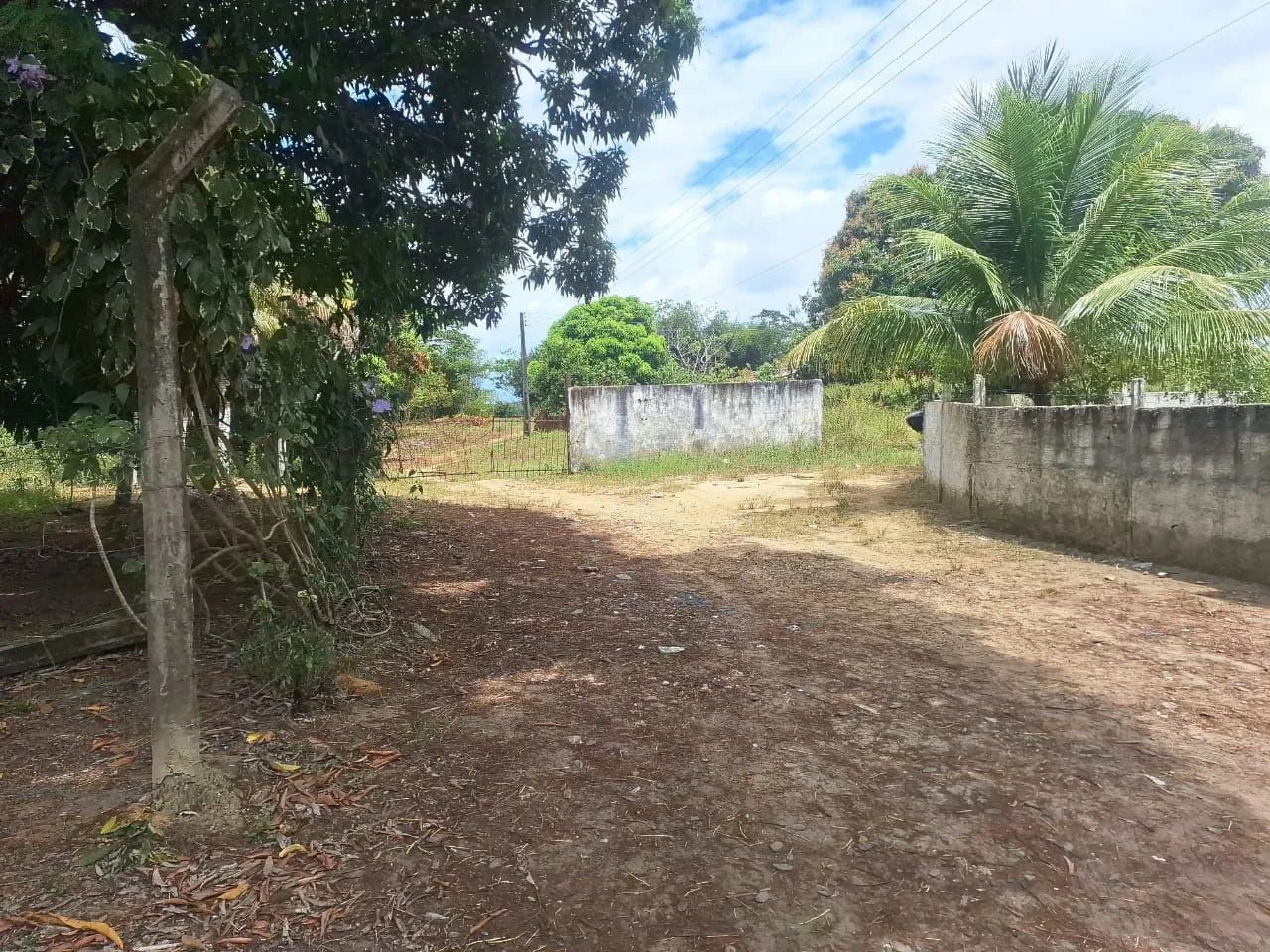 Vende-se 3 lotes de terrenos 12x30 (MURIBECA)  - Foto 5