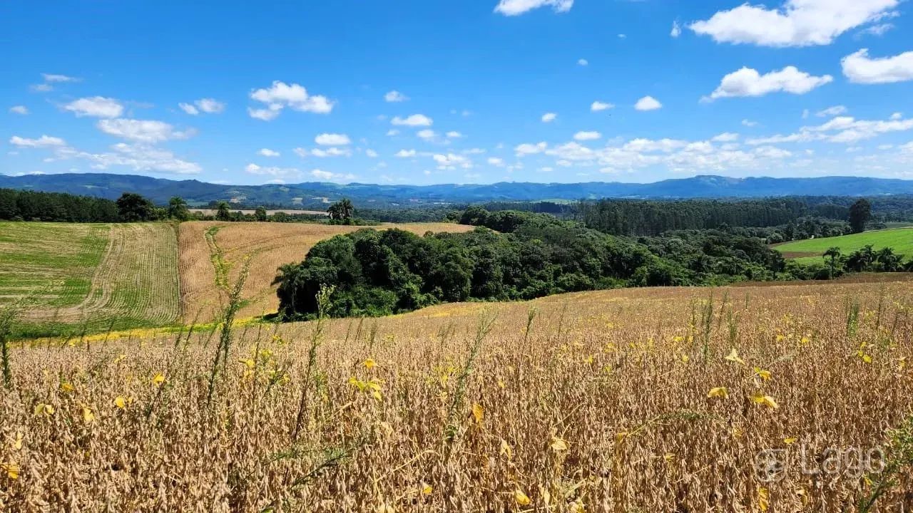 Área Rural Prudentópolis - Foto 5