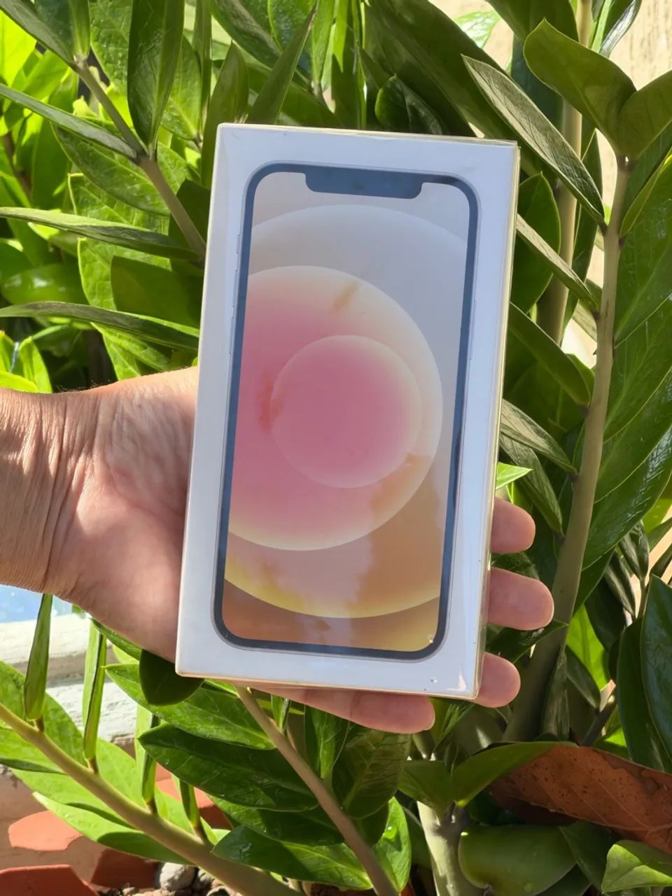 iPhone 12 64 gb lacrado 