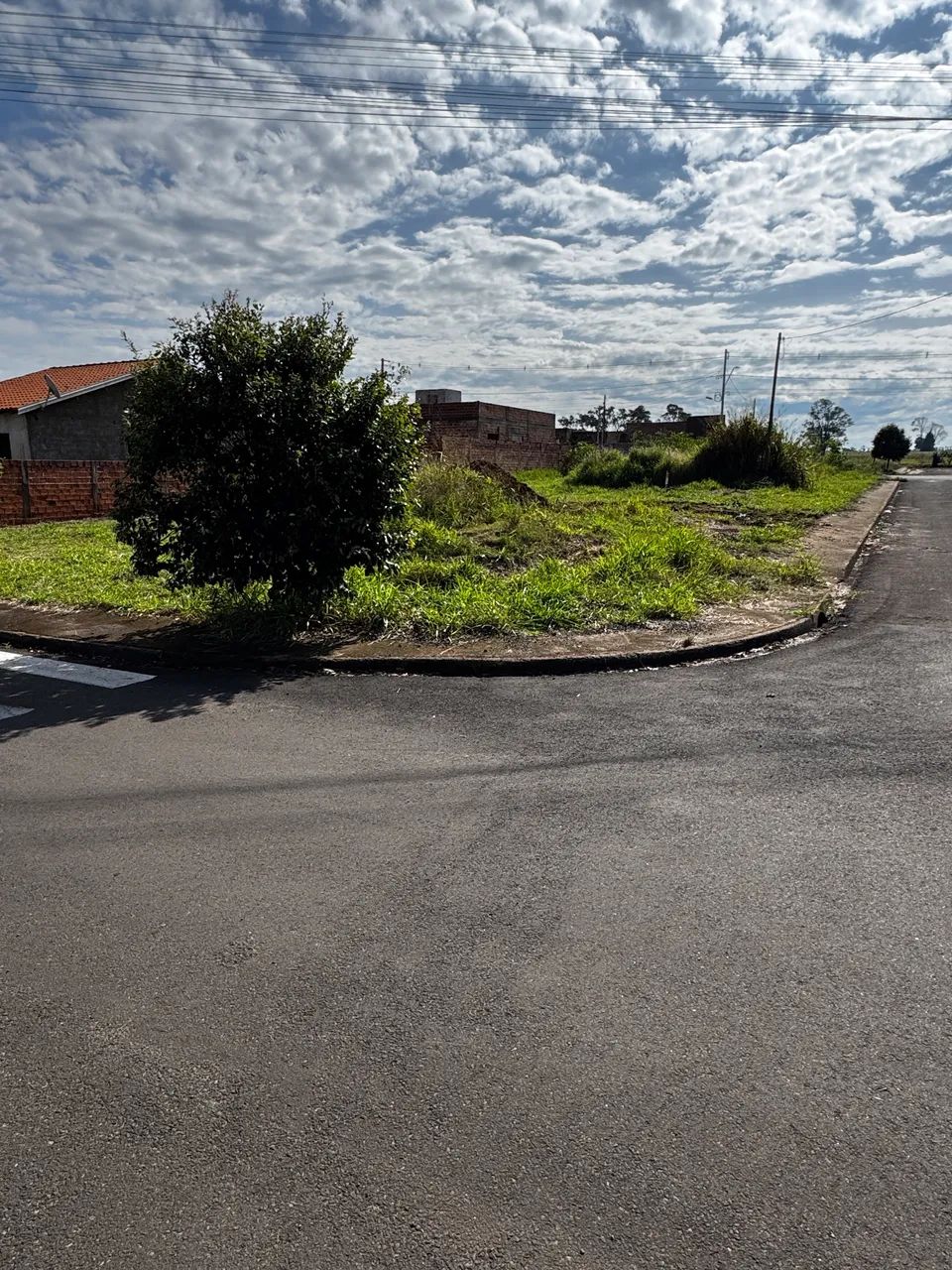 Terreno em Santa Cruz de Monte Castelo  - Foto 5