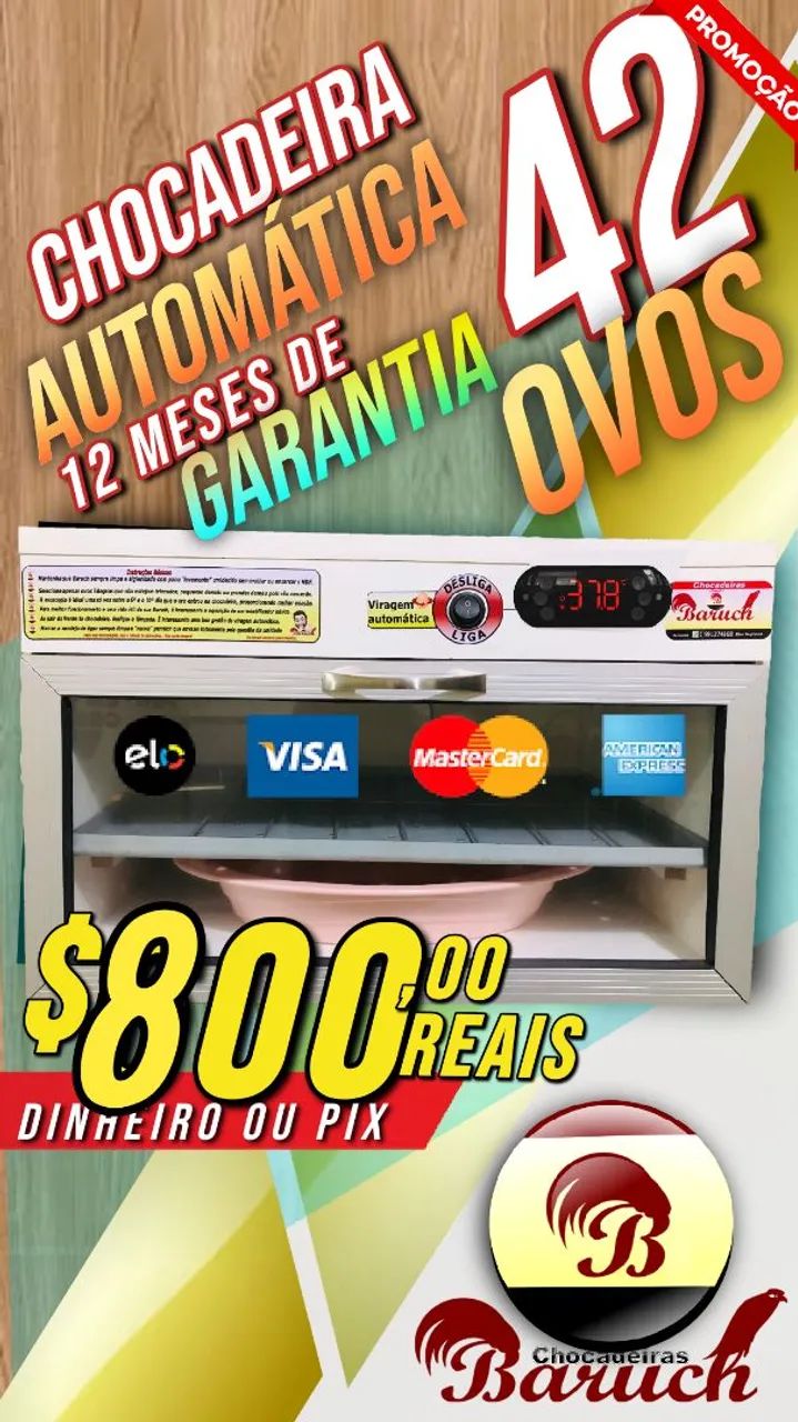  Chocadeira Baruch automática 42 ovos