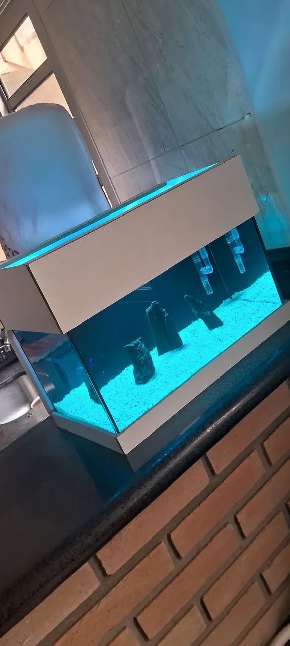 Aquario nano 40x20x20