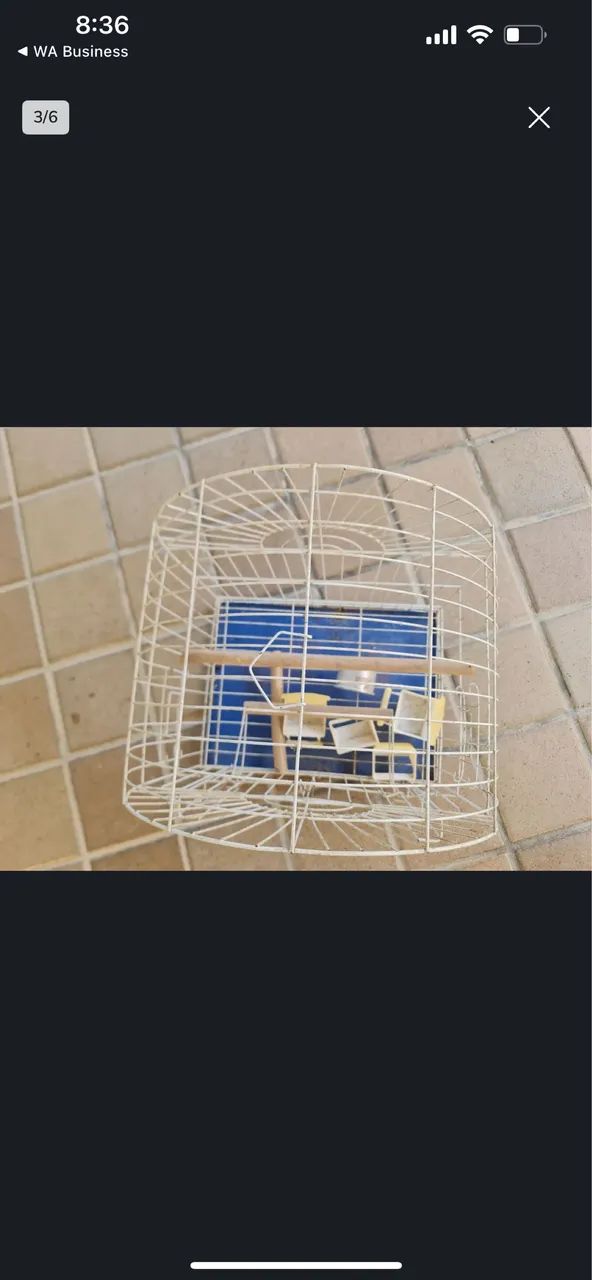 Gaiola pássaro  - Foto 2