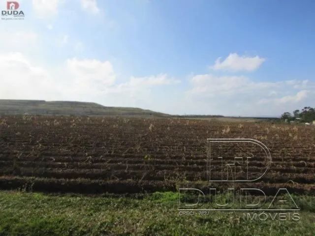 Terreno Rural pronto para plantio. - Foto 5