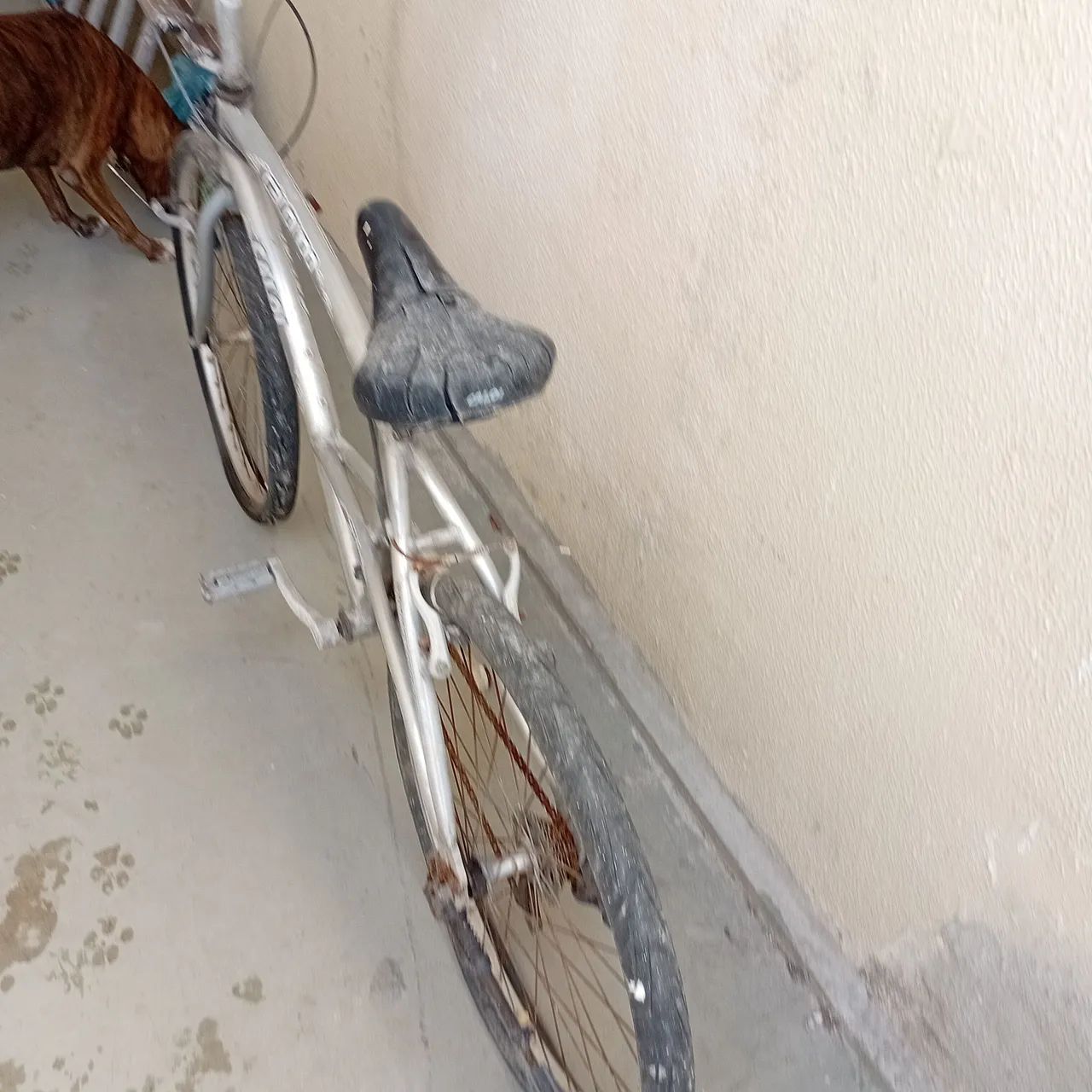 Bicicletas -  duas baratas 