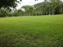 Vendo ou Troco lote Condomínio Vale do Ipê - Foto 2