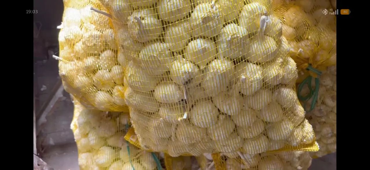 Alho R$ 10/kg