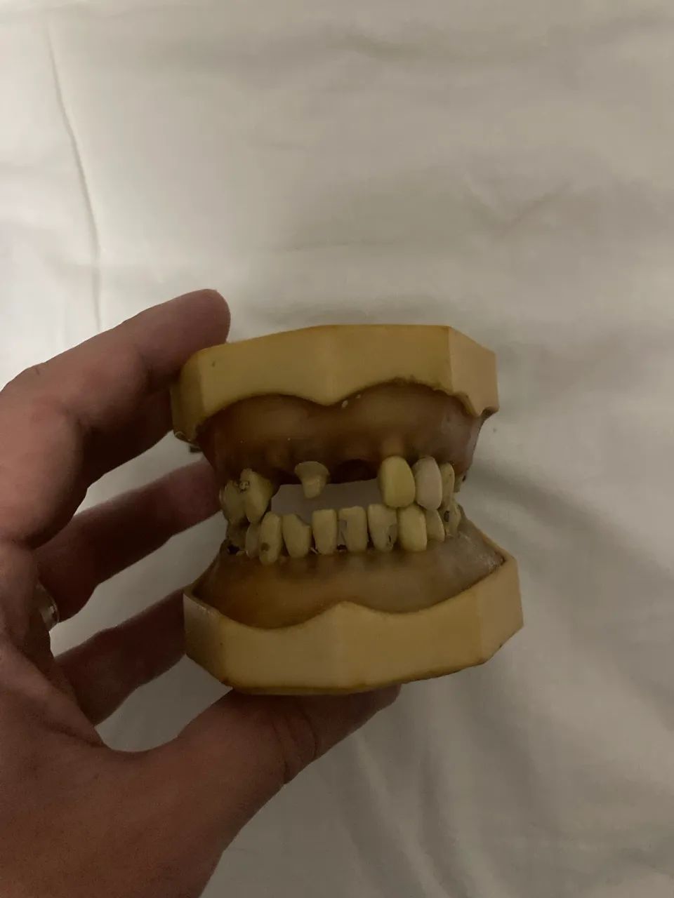 Modelo Odontologia Saúde Dentistica e Prótese  - Foto 2