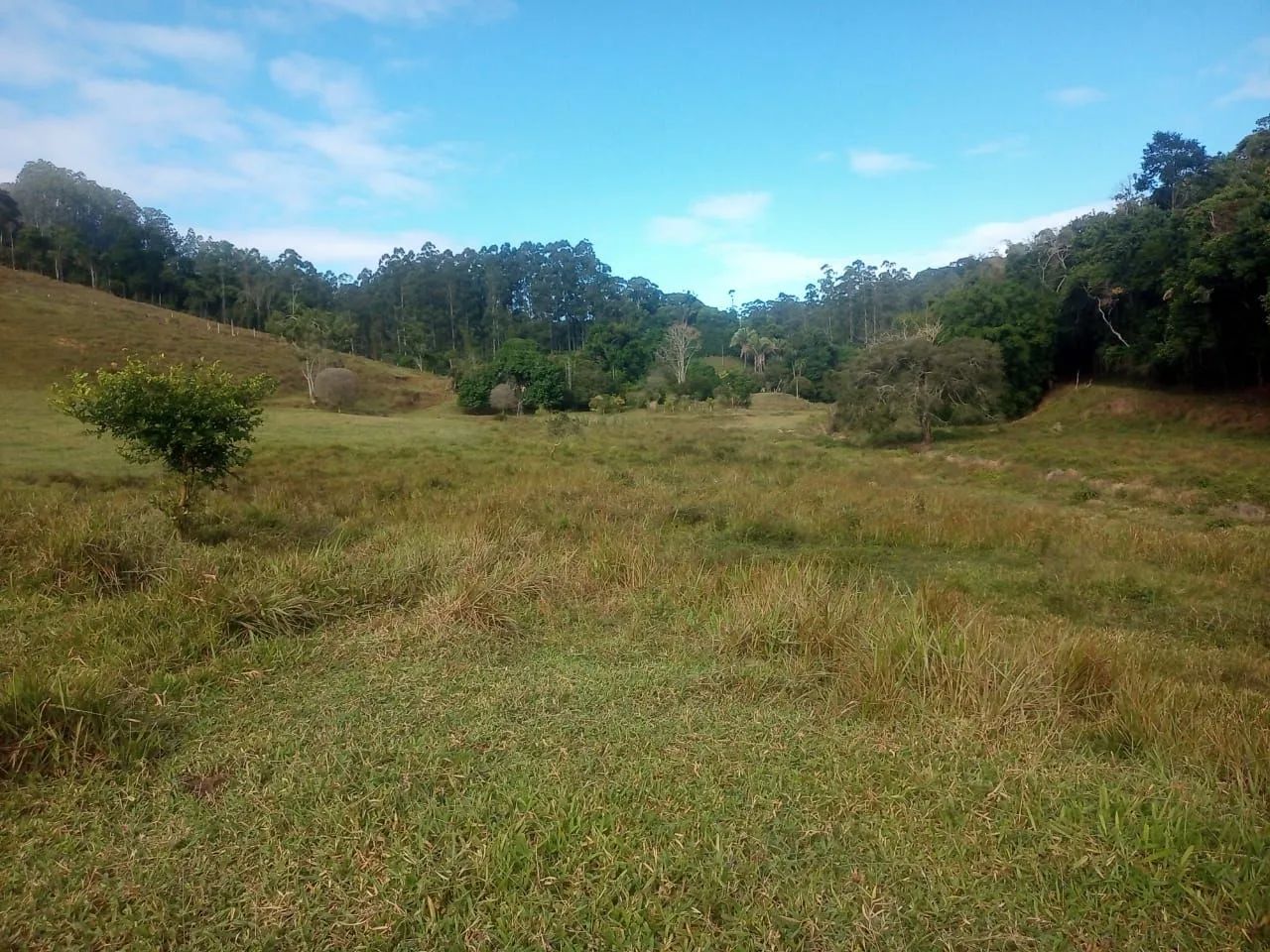 Fazendinha 4 Alqueires Araguia  - Foto 5