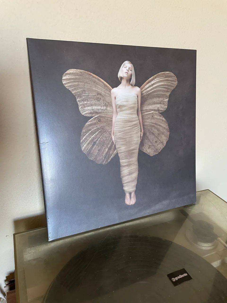 Disco Aurora - All my demons greeting me as a friend