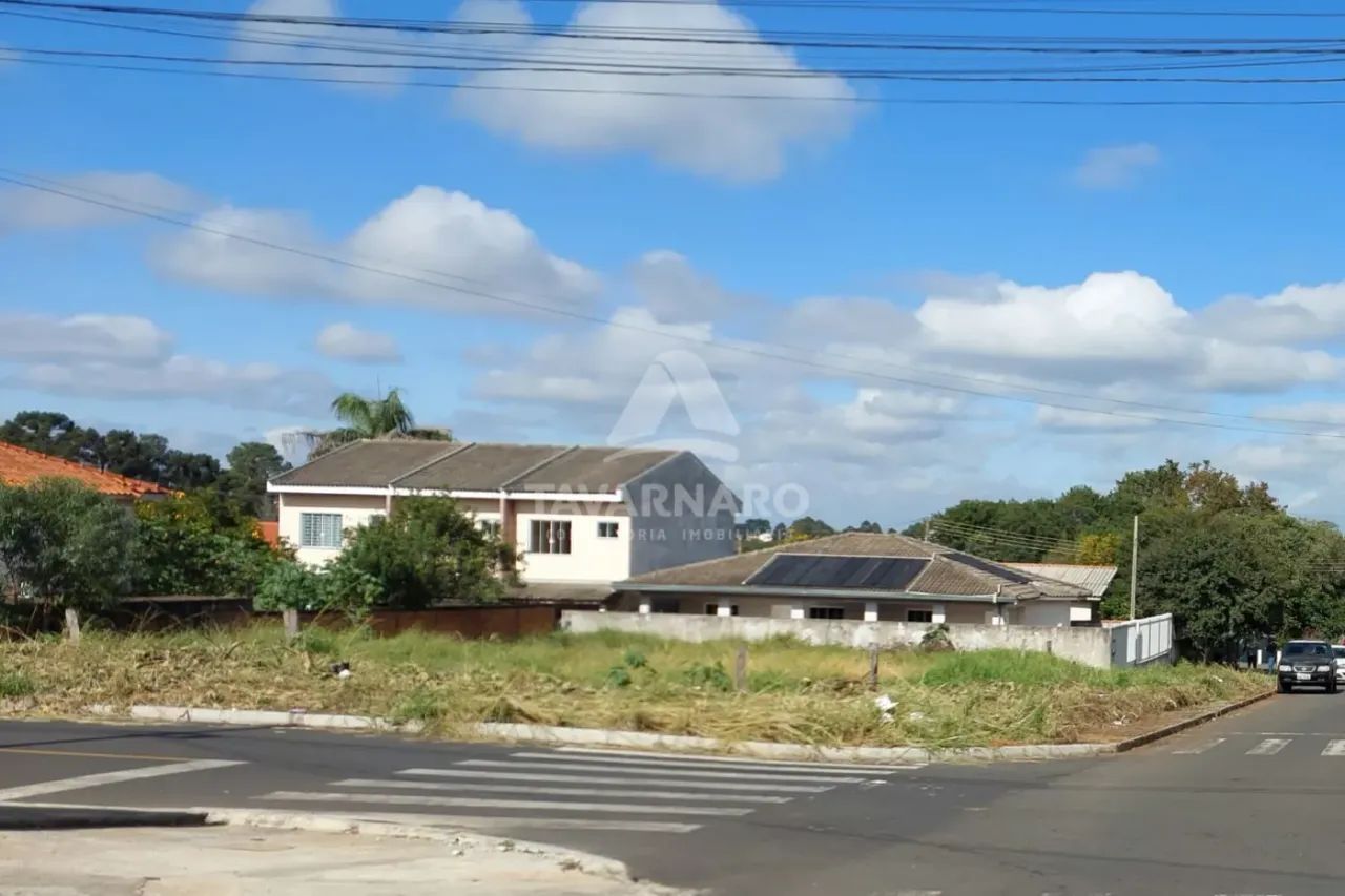 Terreno Padrão em Ponta Grossa - Foto 3