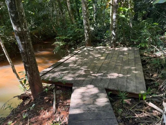 VENDO CHÁCARA ESTRADA DO MANSO - 25KM DE CUIABÁ - Foto 3