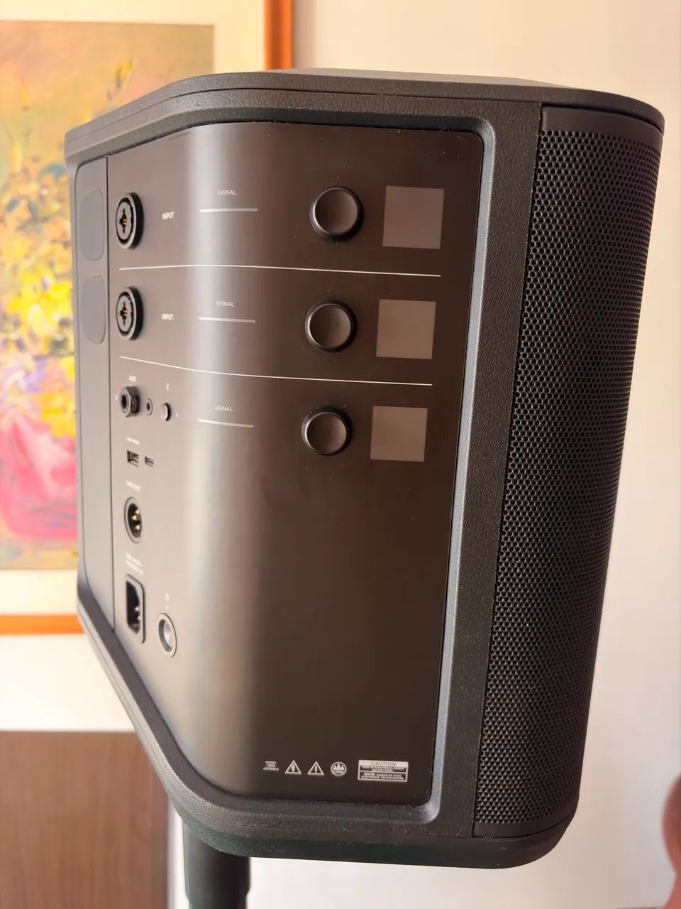 Bose S1 Pro Plus.  