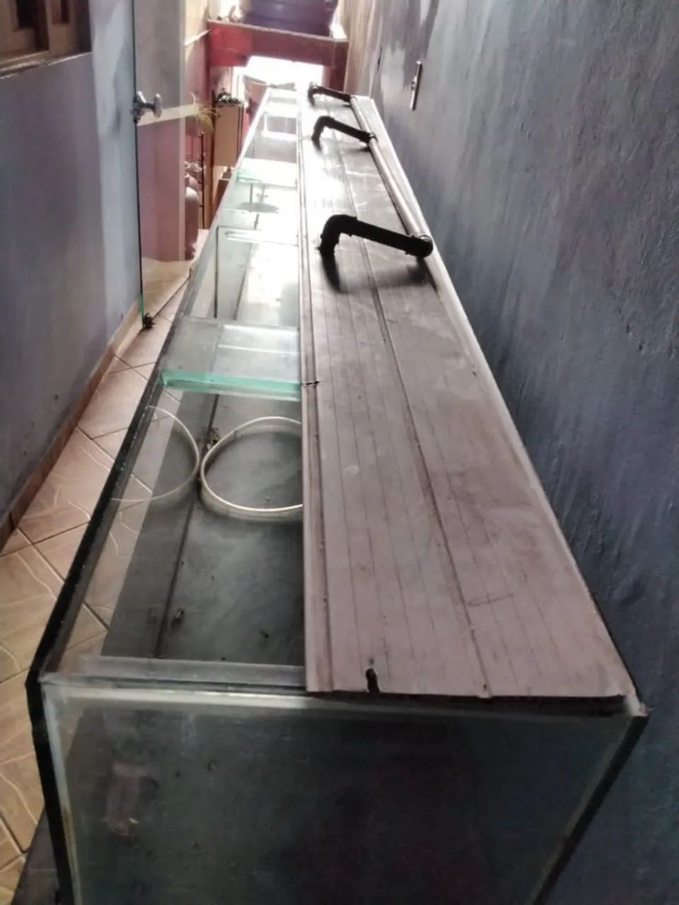 Aquário Gigante - Foto 4