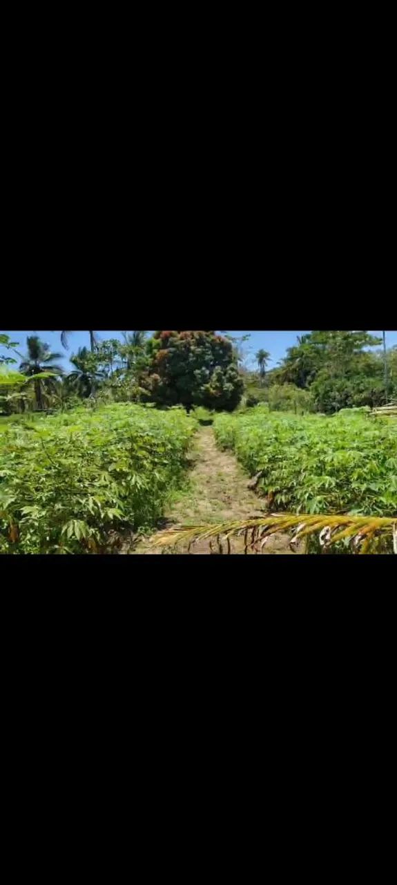 Foto - Aracaju - Industrial