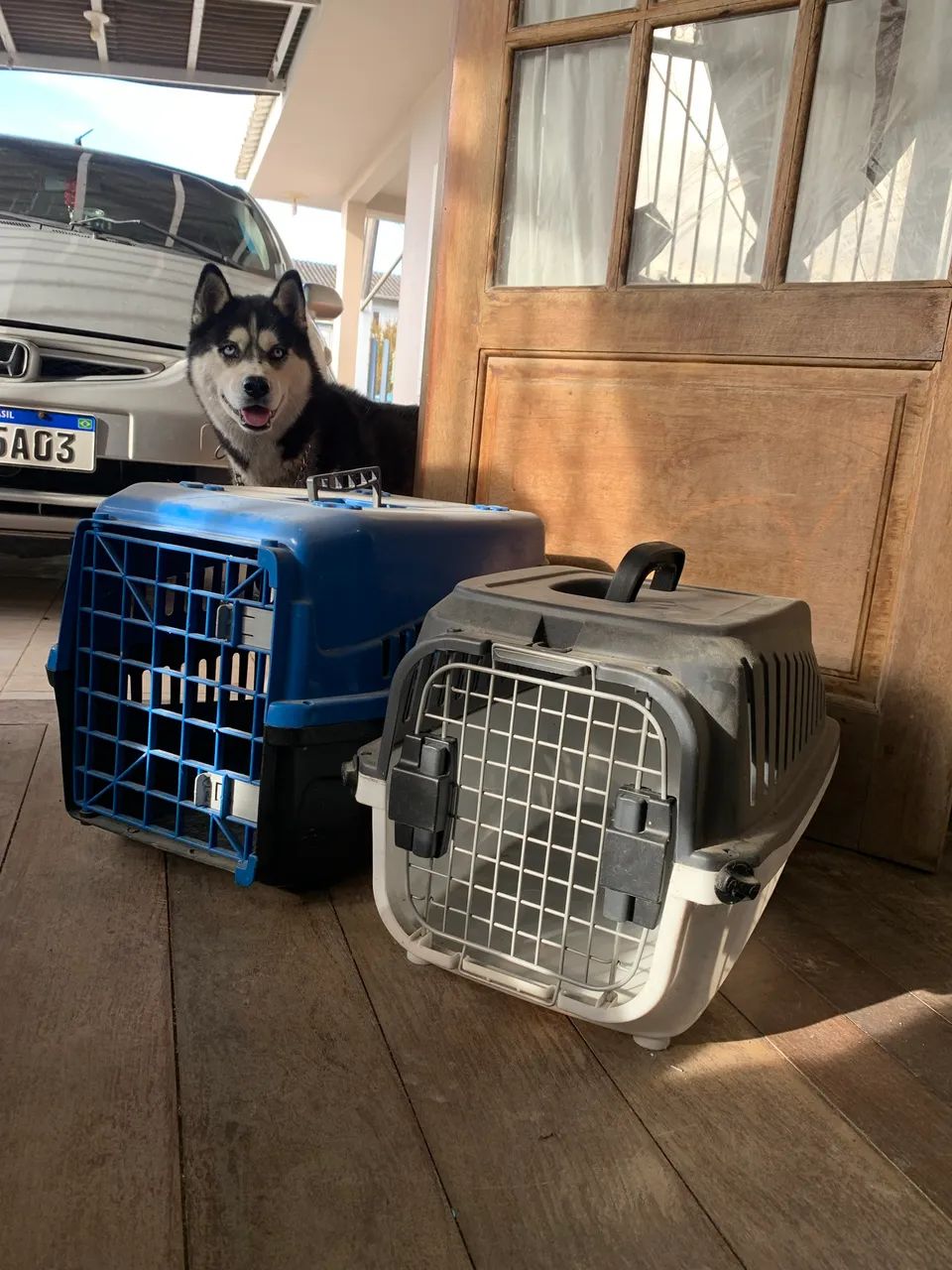 Caixa de transporte cachorro e gato 