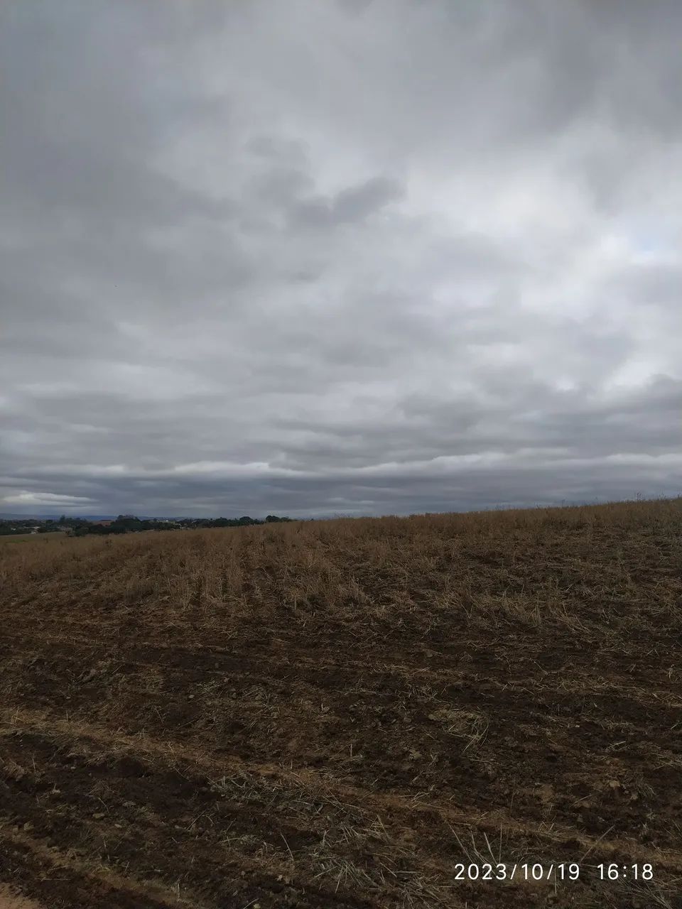 E então vai deixar seu terreno sujo????  - Foto 4